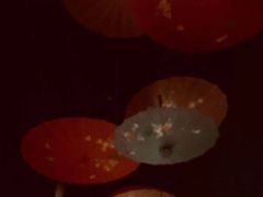 -菲拉拉漫温泉(东环路店)