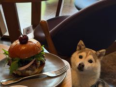 -THE CANNERY&JUJU 新鲜海鲜·牛排美食酒廊