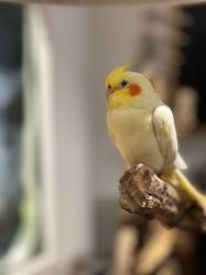 -Zoolung Zoolung动物主题公园(海信广场店)