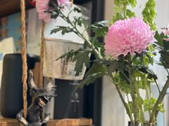 -六月花园咖啡馆(中关村东路店)