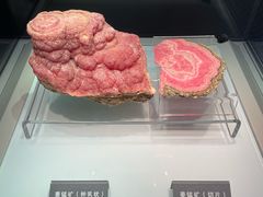 -安徽省地质博物馆