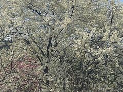 -名花谷生态庄园