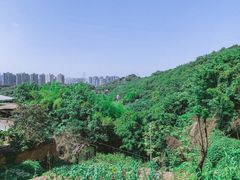 -南山植物园