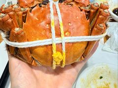 阳澄湖大闸蟹-品鲜村农家菜·阳澄湖大闸蟹(总店)