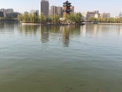 -迎泽公园