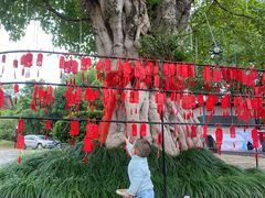 -福建鲤鱼洲酒店