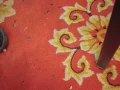 -和乐喜点(宝岗大道店)