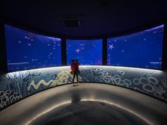 -沈阳海洋探索中心