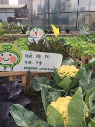 -梦田都市农场(银泰城店)