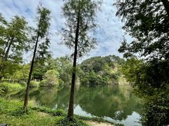 -王借岗森林公园