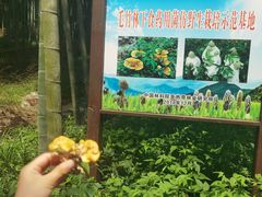 -黄公望隐居地