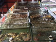 -岛中岛·海鲜大排档·万宁老字号(东澳店)