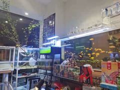 -酷以爬仙阁实体爬宠店·守宫·蜥蜴·专业繁育