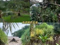 -中国科学院西双版纳热带植物园