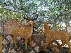 -萌宠亲子动物乐园(槐房万达店)