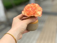 -上海中医药大学-食堂