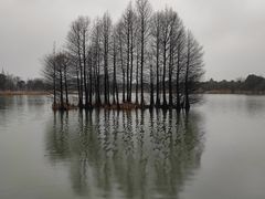-尚湖风景区