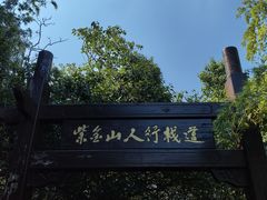 -紫金山天文台