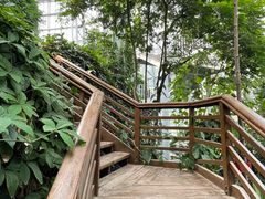 -郑州植物园