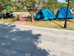 -上海山野camping·户外天幕烧烤·团建拓展营地