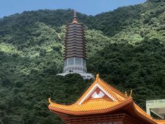 -深圳仙湖植物园