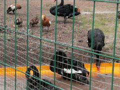 -长春市南湖公园