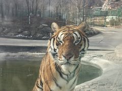 -栾川竹海野生动物园