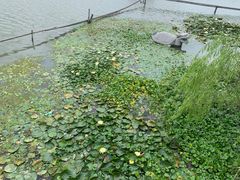 -昆山城市生态森林公园