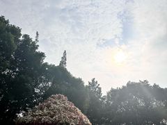 -狼山风景名胜区