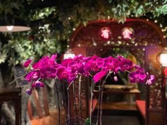 -广州花园酒店