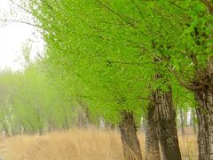 -北京拉斐特城堡酒店
