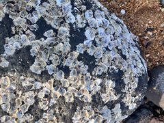 -白沙门生态公园