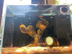 -擺明茶餐廳(钟村店)