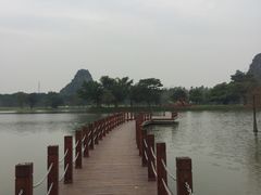 -南宁花花大世界景区
