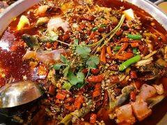 仔姜贡椒鱼-小饕荟雅安贡椒鱼鲜馆(广福桥店)