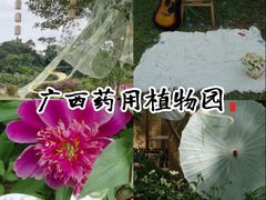 -广西壮族自治区药用植物园