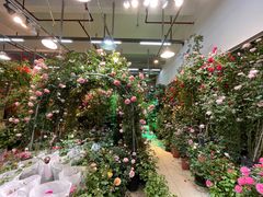 -双季花艺园艺市场(浦东店)