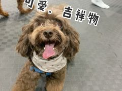 -FIGHTMAN格斗俱乐部(长宁临空店)