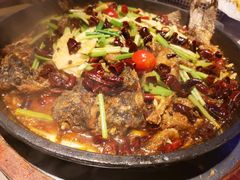 -老板恋上鱼(恒隆广场店)