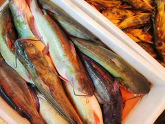 -江湖水乡铁锅炖魚(周庄嘉园店)