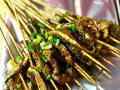 鳝鱼-晓靖轩烧烤(沙河风情店)