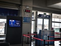 -宜春明月山机场