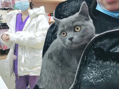 -瑞派宠物医院·中兽医专科(中央商城分院)