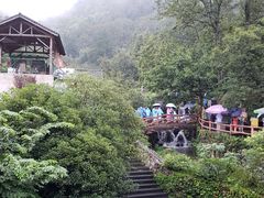 -藏龙百瀑风景区