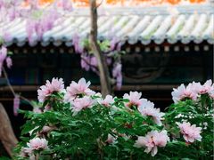 -北京市劳动人民文化宫(太庙)