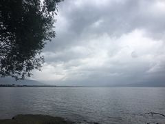 -才村湿地公园