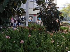 -厦门帷幕开啦红地毯蜡像艺术馆