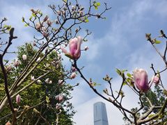 -柳侯公园