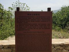 -阳台山自然风景区