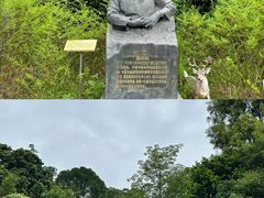 -广州神农草堂中医药博物馆